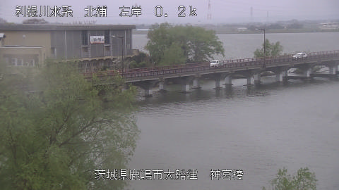 jingu2026040712_image