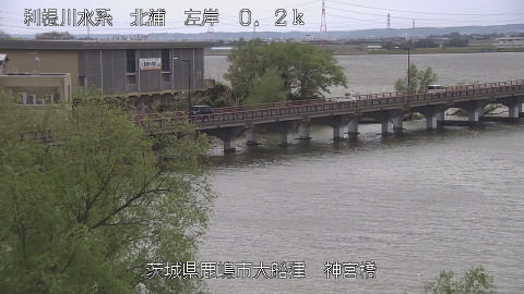 jingu2026040912_image