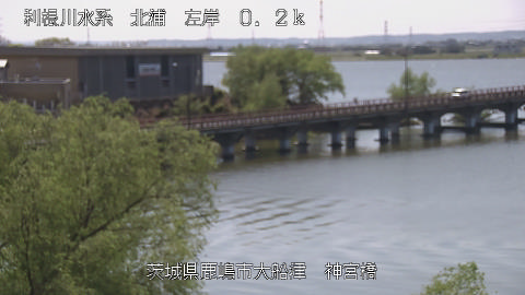 jingu2026041112_image