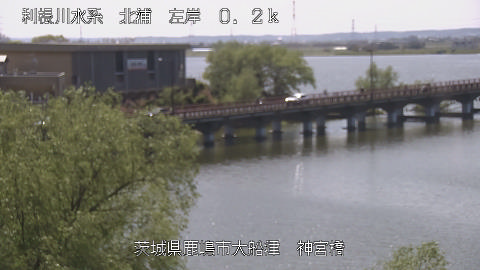 jingu2026041212_image