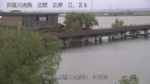 jingu2026041312_image