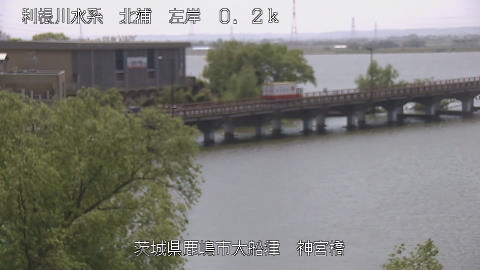 jingu2026041412_image