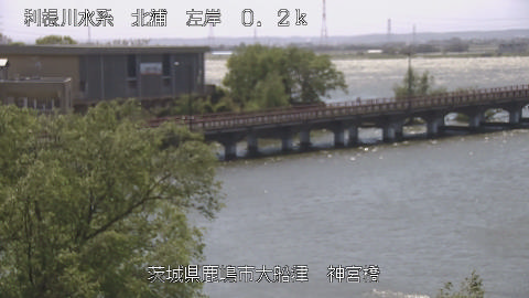 jingu2026041612_image
