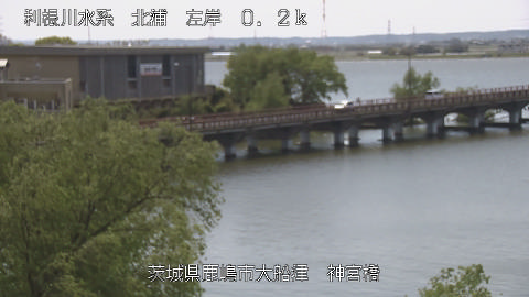 jingu2026041712_image