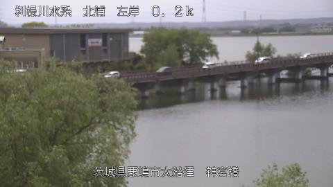 jingu2026041812_image
