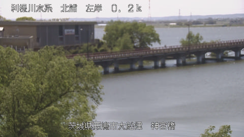 jingu2026041912_image