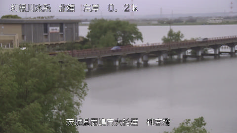 jingu2026042312_image