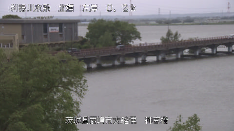 jingu2026042412_image