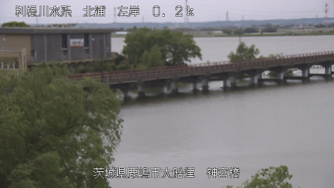 jingu2026042512_image