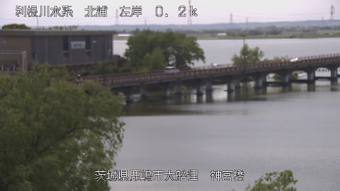 jingu2026042612_image