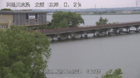 jingu2026042912_image