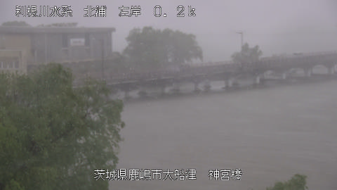 jingu2026050112_image