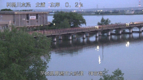 jingu2026050219_image