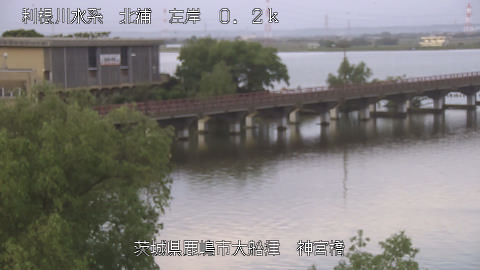 jingu2026050306_image