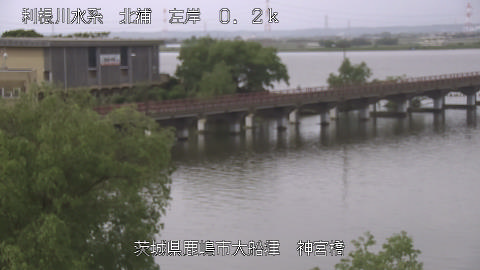 jingu2026050308_image