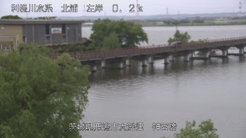 jingu2026050309_image