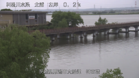 jingu2026050310_image