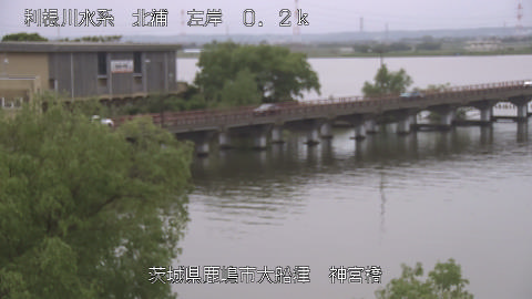 jingu2026050311_image