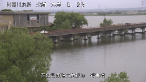 jingu2026050312_image