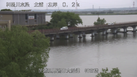 jingu2026050313_image