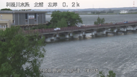 jingu2026050318_image