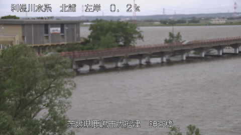 jingu2026050410_image