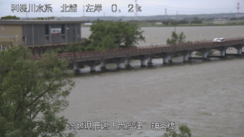 jingu2026050411_image
