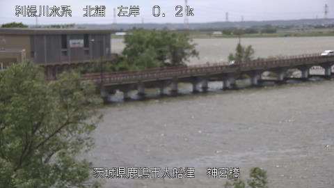 jingu2026050412_image