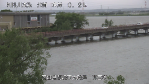jingu2026050416_image