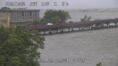 jingu2026052212_image