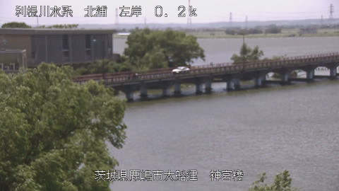 jingu2026052312_image
