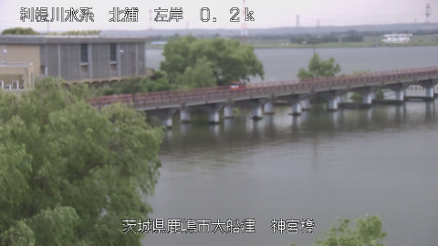 jingu2026052412_image