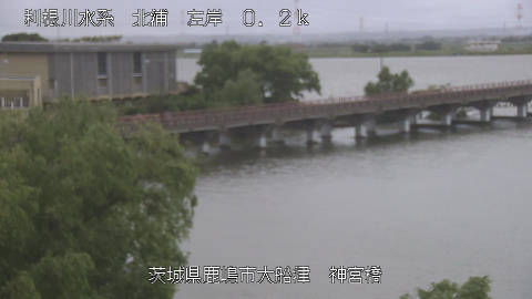 jingu2026052812_image