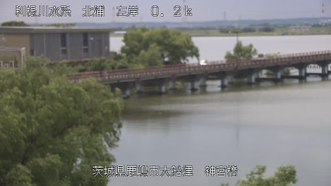 jingu2026052912_image