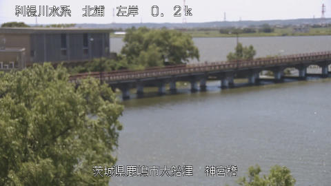 jingu2026053012_image
