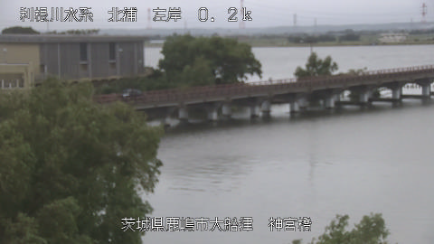 jingu2026060712_image