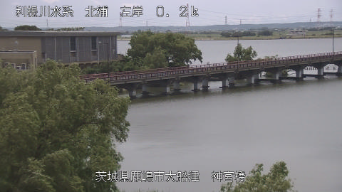 jingu2026061112_image