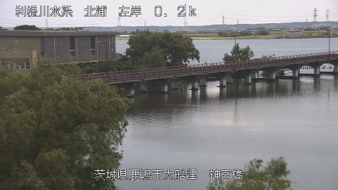 jingu2026061212_image