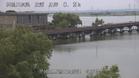 jingu2026061312_image