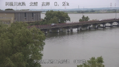 jingu2026061412_image