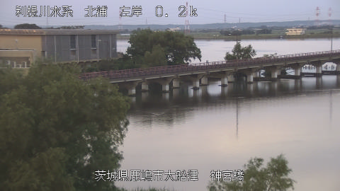jingu2026061705_image