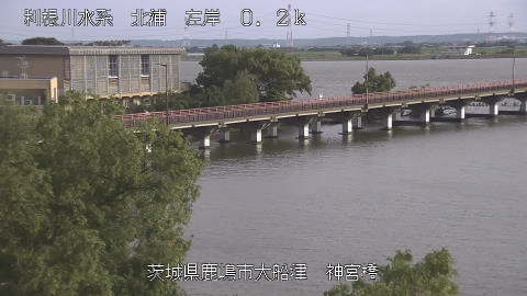 jingu2026061717_image