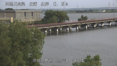 jingu2026061718_image