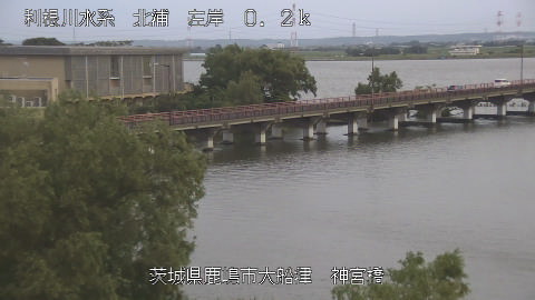 jingu2026061719_image
