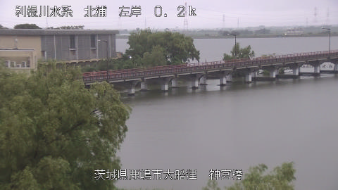 jingu2026061805_image