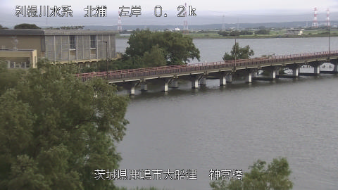 jingu2026061817_image