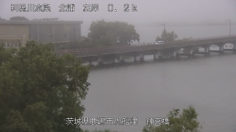 jingu2026061819_image