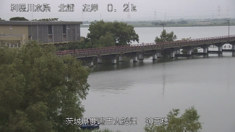 jingu2026070412_image