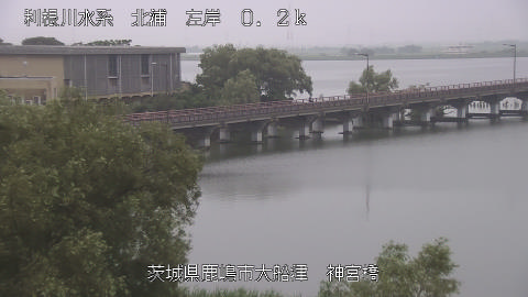 jingu2026080106_image