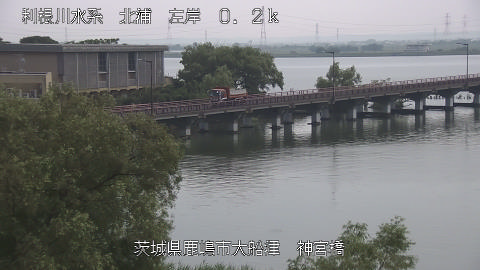 jingu2026080114_image